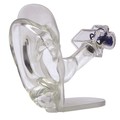 Gpi Anatomical Anatomical Model - Clear Ear 2251